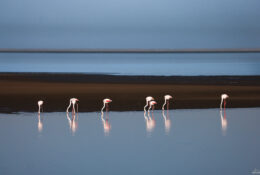 Namibia_April_2025 (22/79)